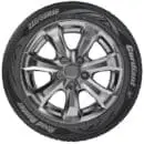 205/55R16 CORDIANT ROAD_RUNNER PS-1 бк 94 H (ЯШЗ)