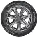 205/60R16 CORDIANT ROAD_RUNNER PS-1 бк 92 H (ЯШЗ)