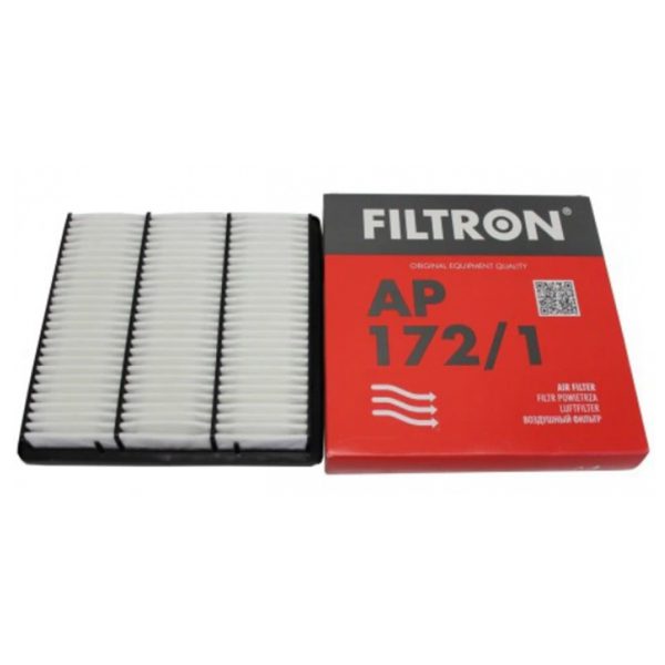 Фильтр воздушный FILTRON AP172/1 Mitsubishi