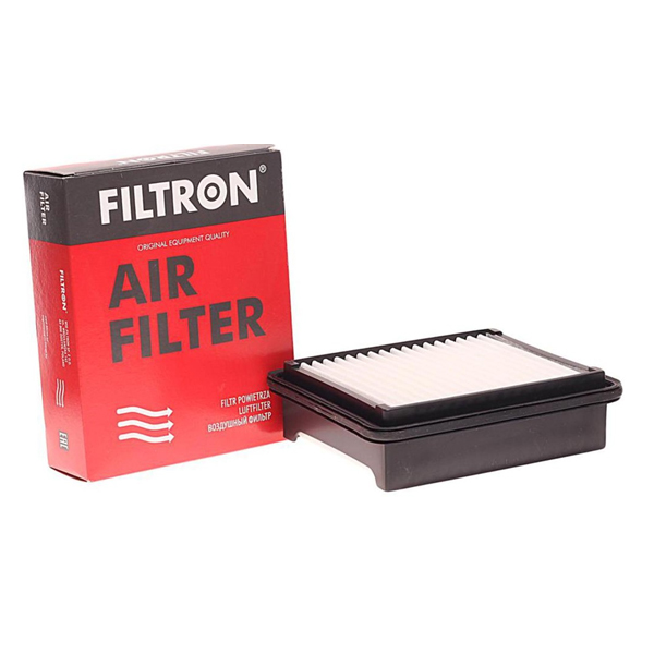 Фильтр воздушный FILTRON AP176/3