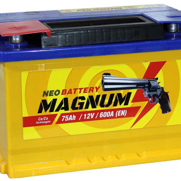 6СТ-75 * Magnum обратная 600А 278x175x190