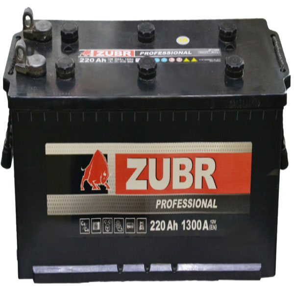 6СТ-220 * ZUBR PROFESSIONAL прямая болт 1300А 510x218x225 (КАМАЗ NEO)