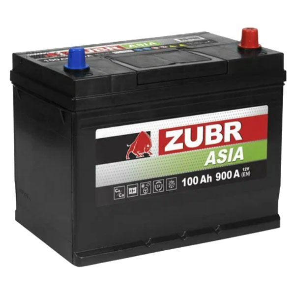 6СТ-100 * ZUBR Premium Asia обратная