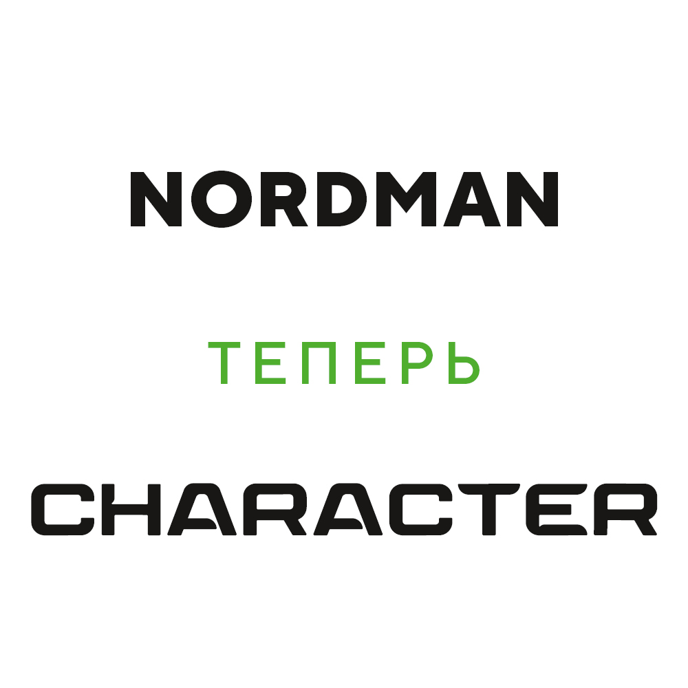 175/65R14 IKON TYRES Nordman RS2 не шип 86 R XL 5 kind=card